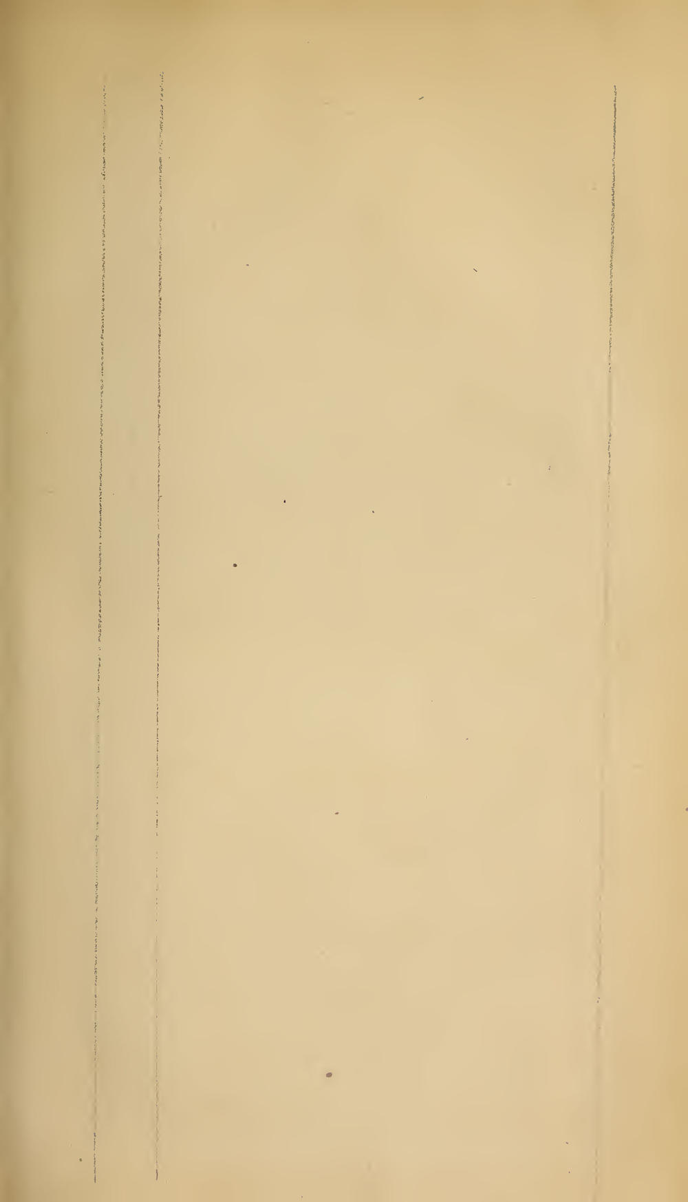 Image of page 129